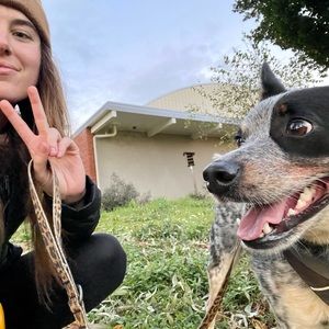 Meet your Posher, Cassidy